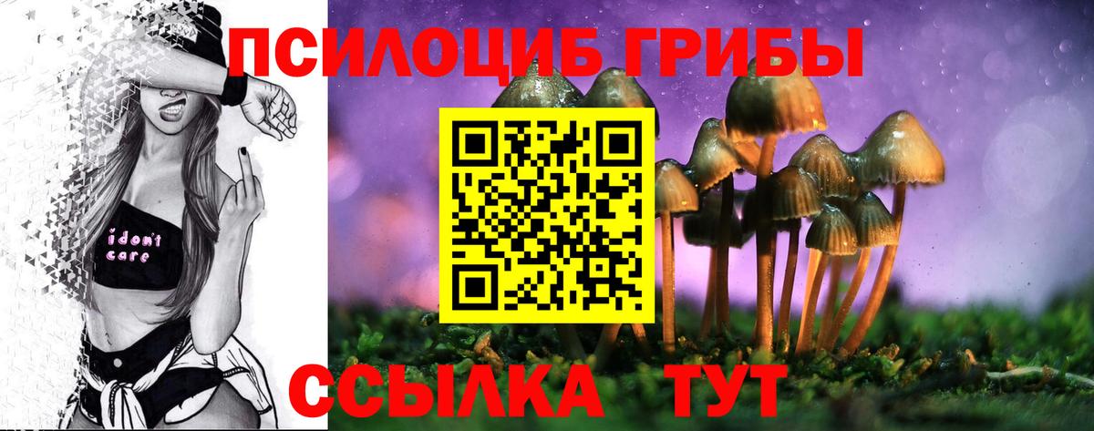 Галлюциногенные грибы прущие грибы  Вход с VPN  где продают   Соль-Илецк 