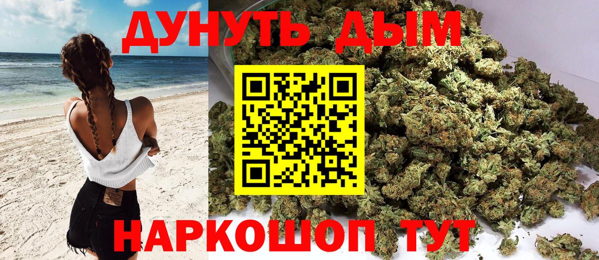 Каннабис план Соль-Илецк